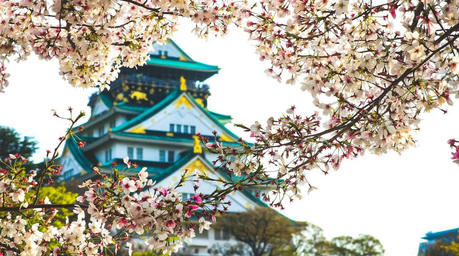 日本探訪：ユニークな文化と必見の目的地を巡る旅